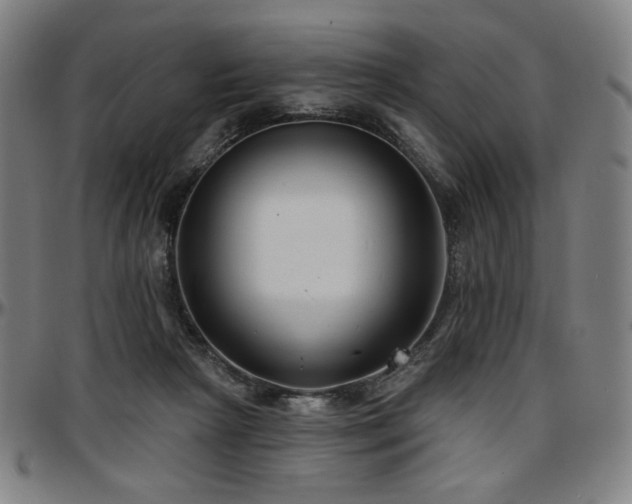 X0000097630265200802291347