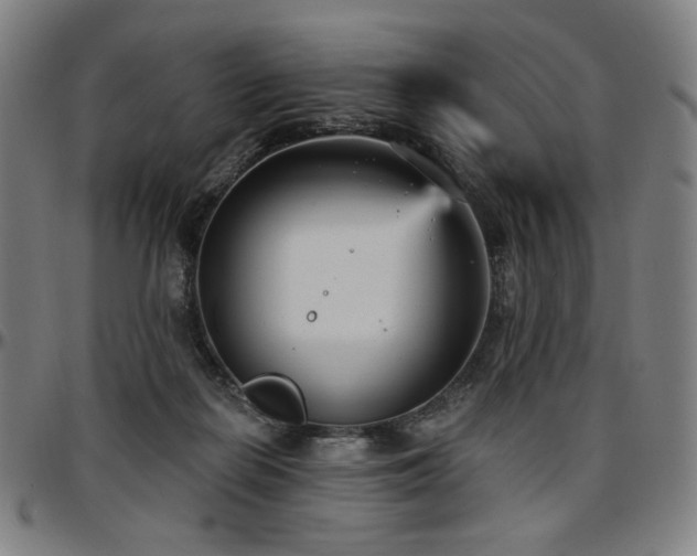 X0000097630266200802291347