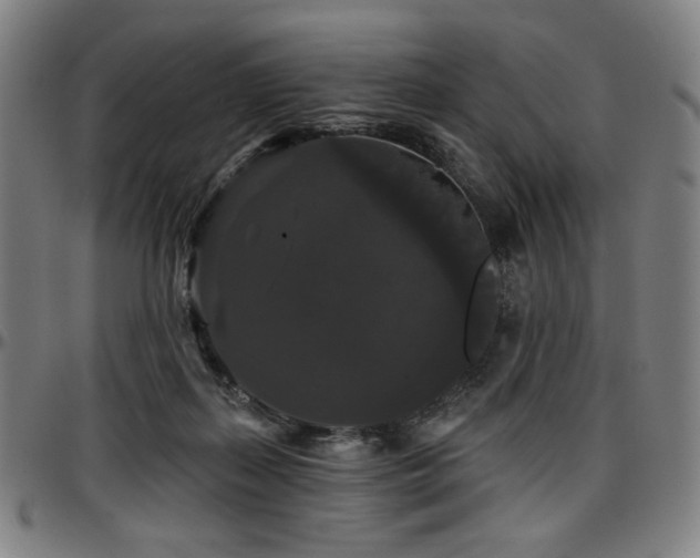 X0000097630267200802291347