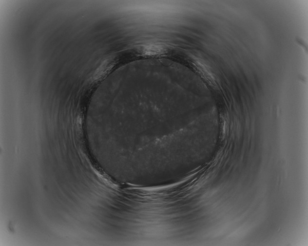 X0000097630269200802291347