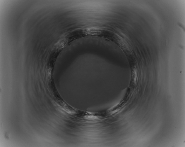 X0000097630271200802291347