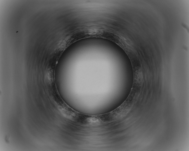 X0000097630272200802291347