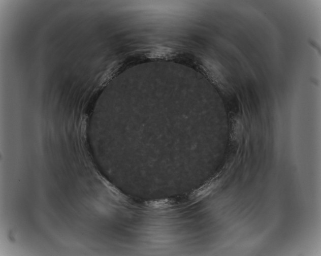 X0000097630273200802291347