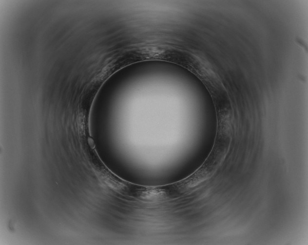 X0000097630274200802291347