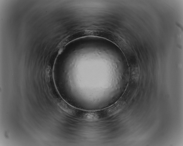 X0000097630275200802291347