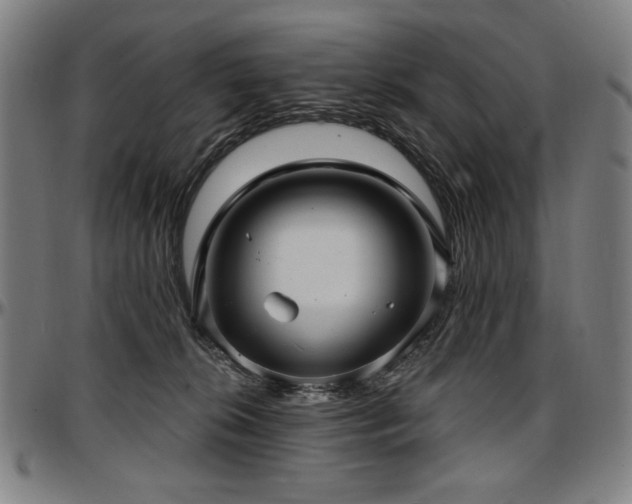 X0000097630276200802291347