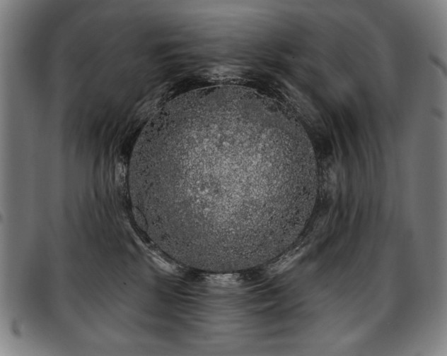 X0000097630281200802291348