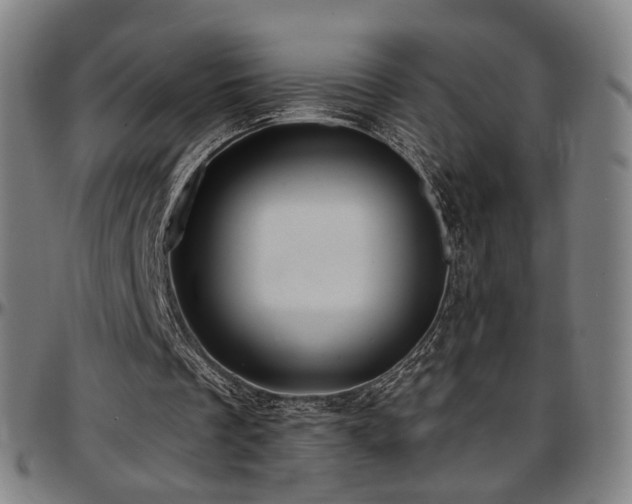 X0000097630289200802291347