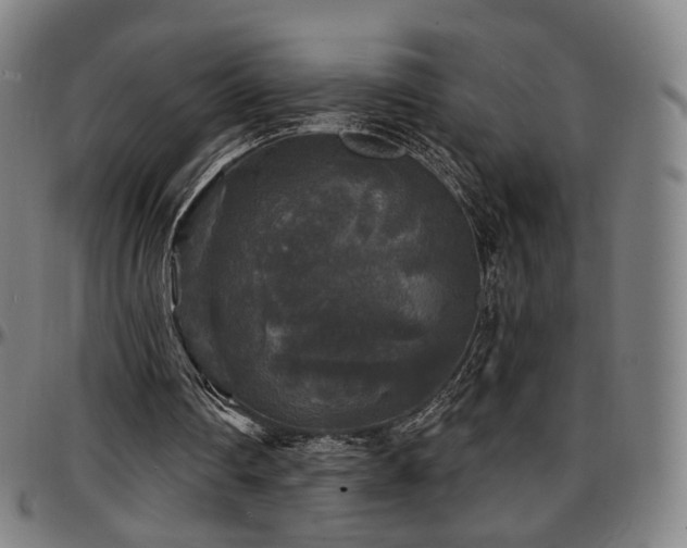 X0000097630290200802291347