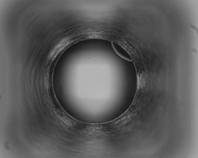 X0000097630291200802291347