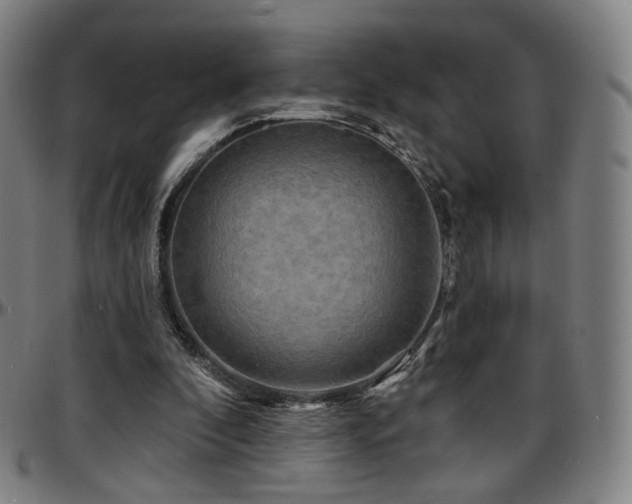 X0000097630296200802291347