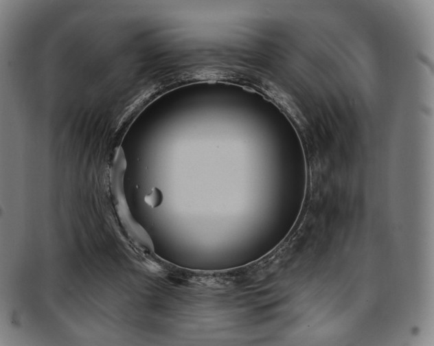 X0000097630297200802291347