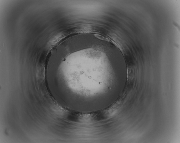 X0000097630301200802291347