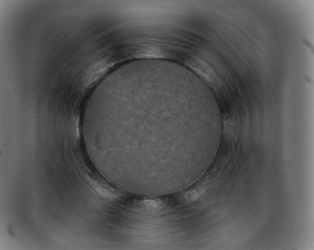 X0000097630302200802291347
