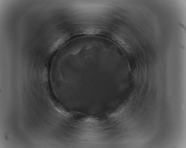X0000097630303200802291347