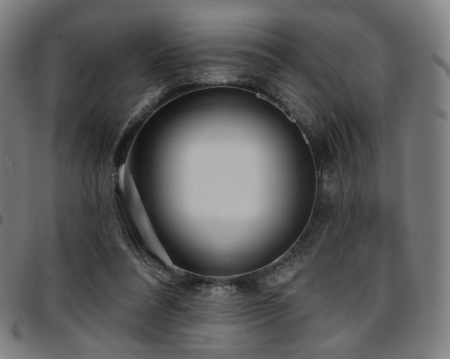 X0000097630304200802291347