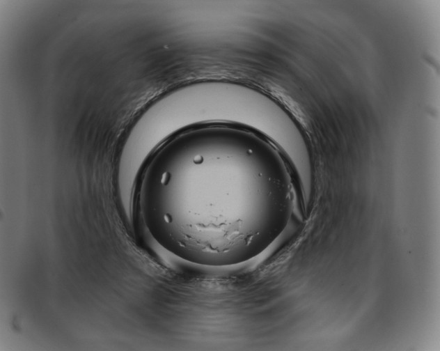X0000097630305200802291347