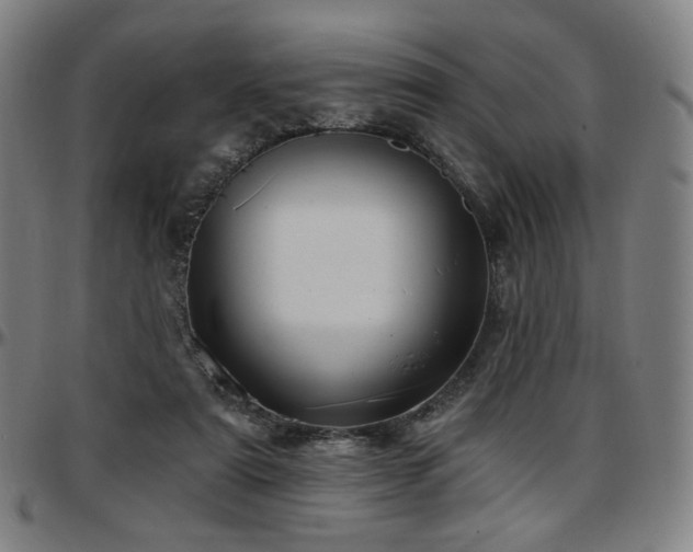 X0000097630307200802291347