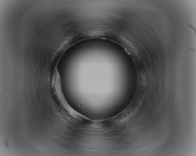X0000097630308200802291347