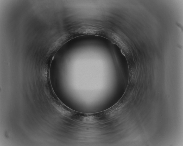 X0000097630309200802291347