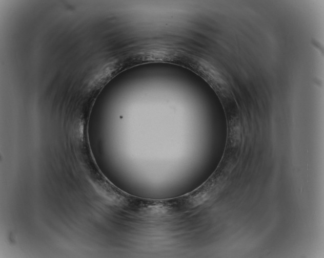X0000097630310200802291347