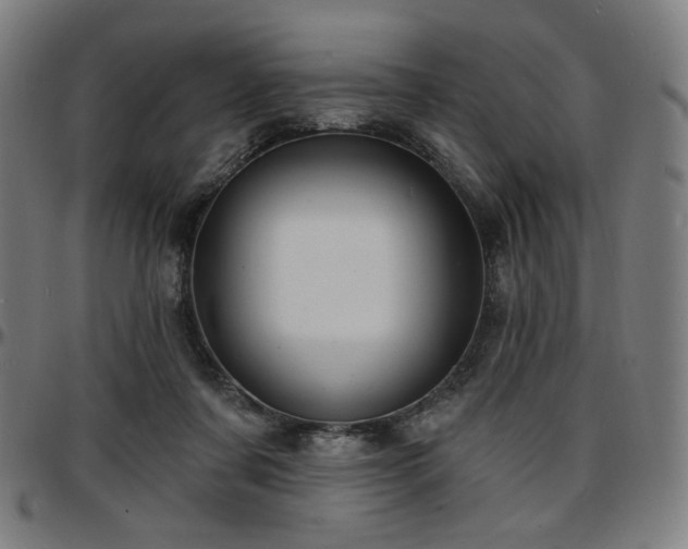 X0000097630311200802291347