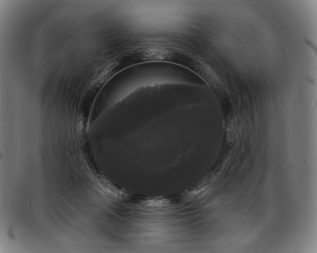 X0000097630314200802291347