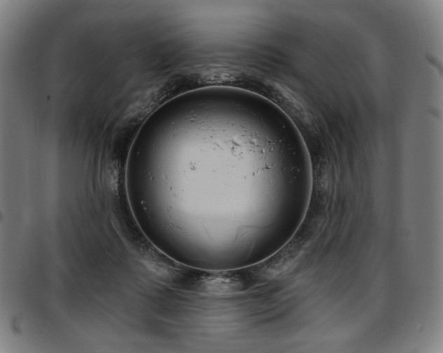 X0000097630315200802291347