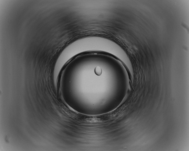 X0000097630316200802291347