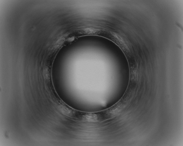 X0000097630317200802291347