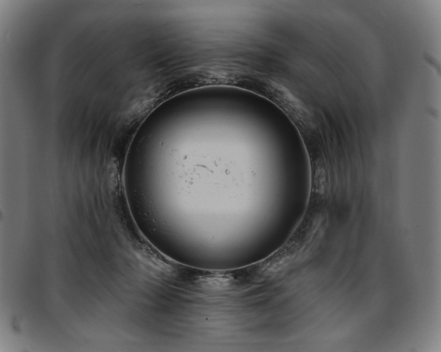 X0000097630318200802291347