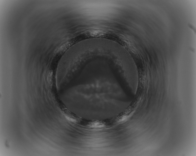 X0000097630319200802291347