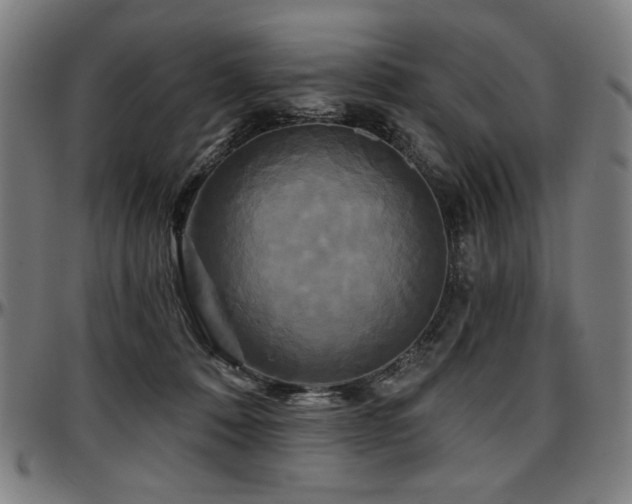 X0000097630320200802291347