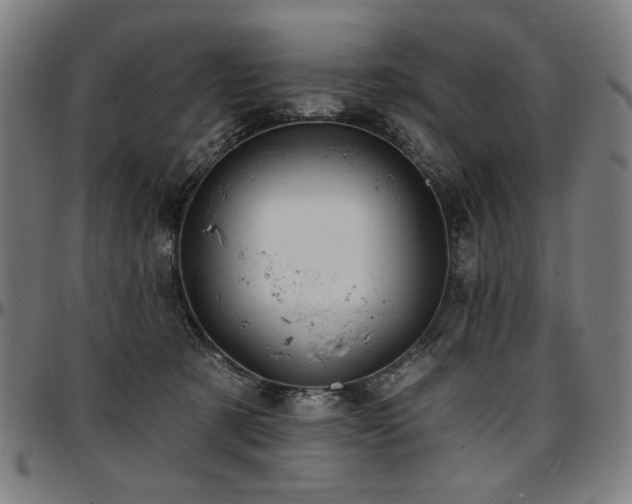 X0000097630321200802291347