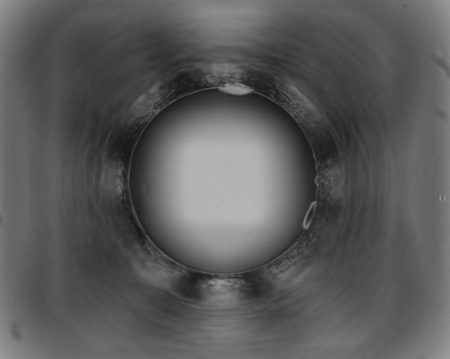 X0000097630323200802291346
