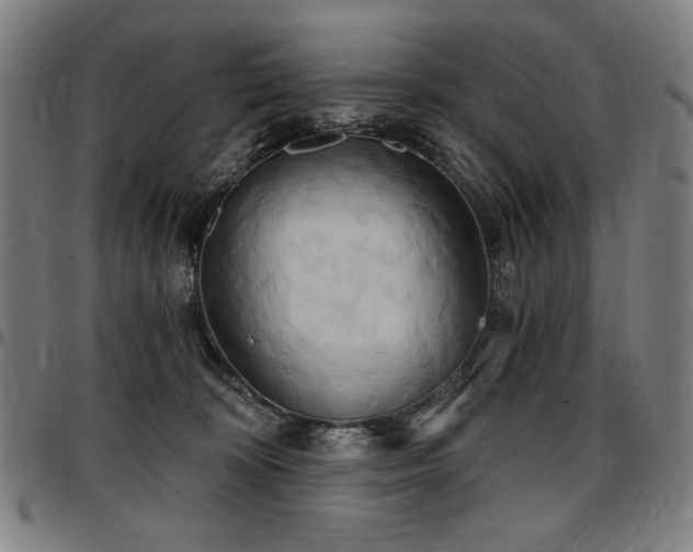 X0000097630324200802291346