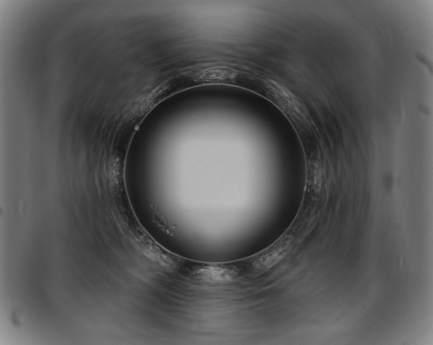 X0000097630326200802291346