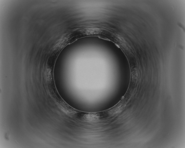 X0000097630327200802291346