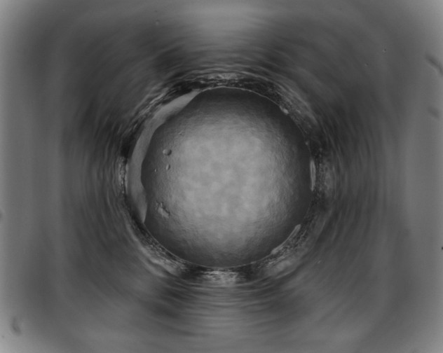 X0000097630328200802291346