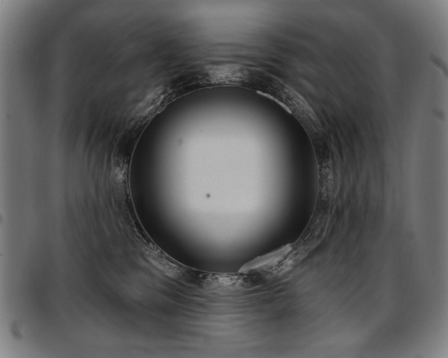 X0000097630329200802291346