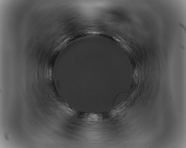 X0000097630330200802291346