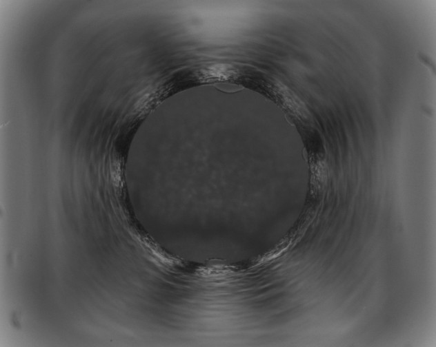 X0000097630331200802291346