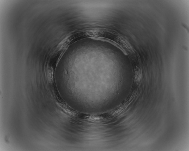 X0000097630332200802291346