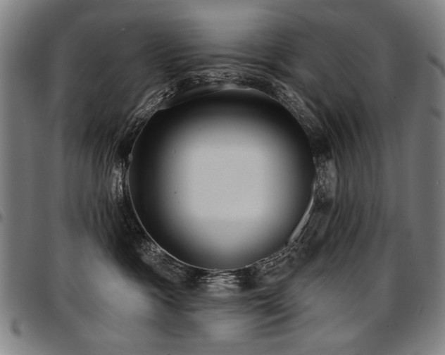 X0000097630333200802291346