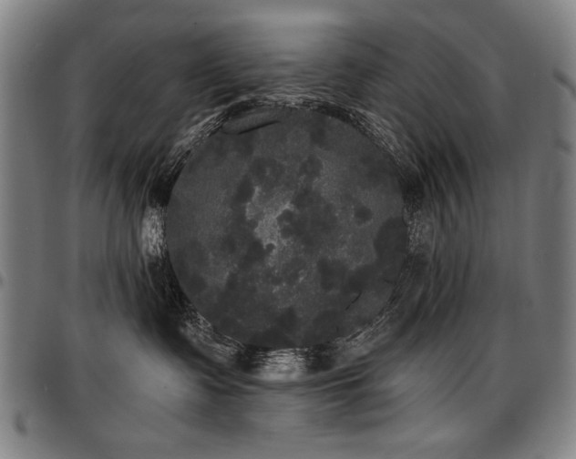 X0000097630335200802291346