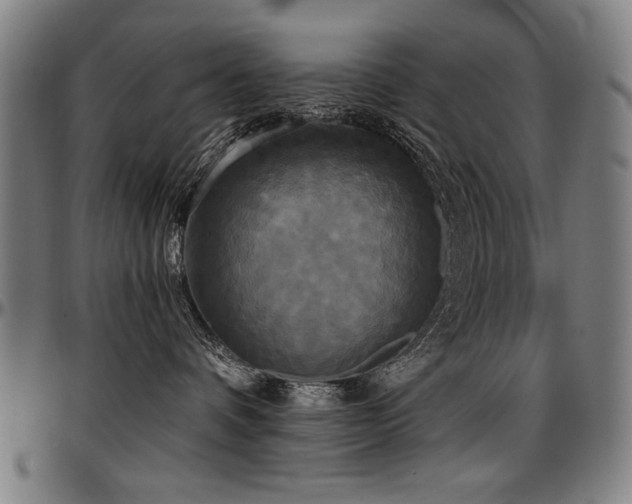 X0000097630336200802291346