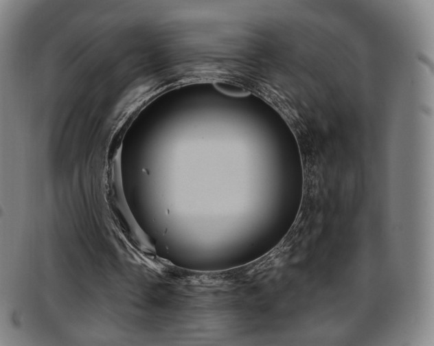X0000097630338200802291346
