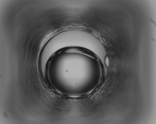 X0000097630340200802291346