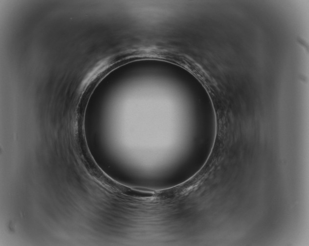 X0000097630344200802291346