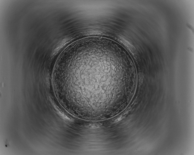 X0000097630345200802291346